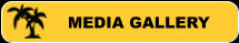 MEDIA GALLERY