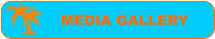 MEDIA GALLERY